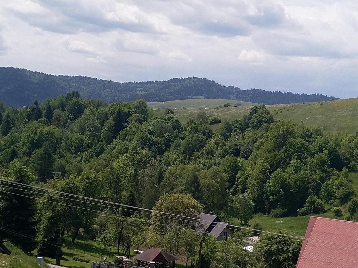Nad Strumykiem Chalet *